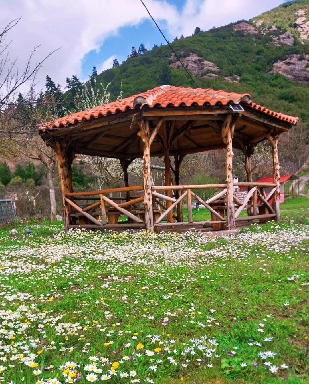 Michel Studios Kalavryta Esterno foto